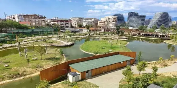 areal view of lake and park
